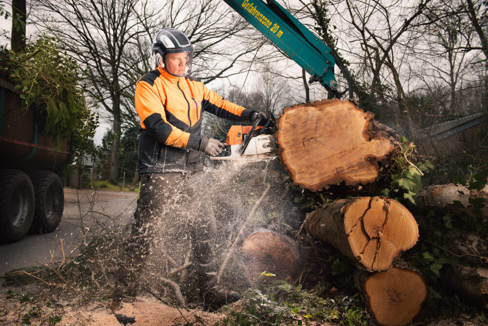 Forestry Worker Stefan Blanke cutting a birch with his Stihl Chainsaw