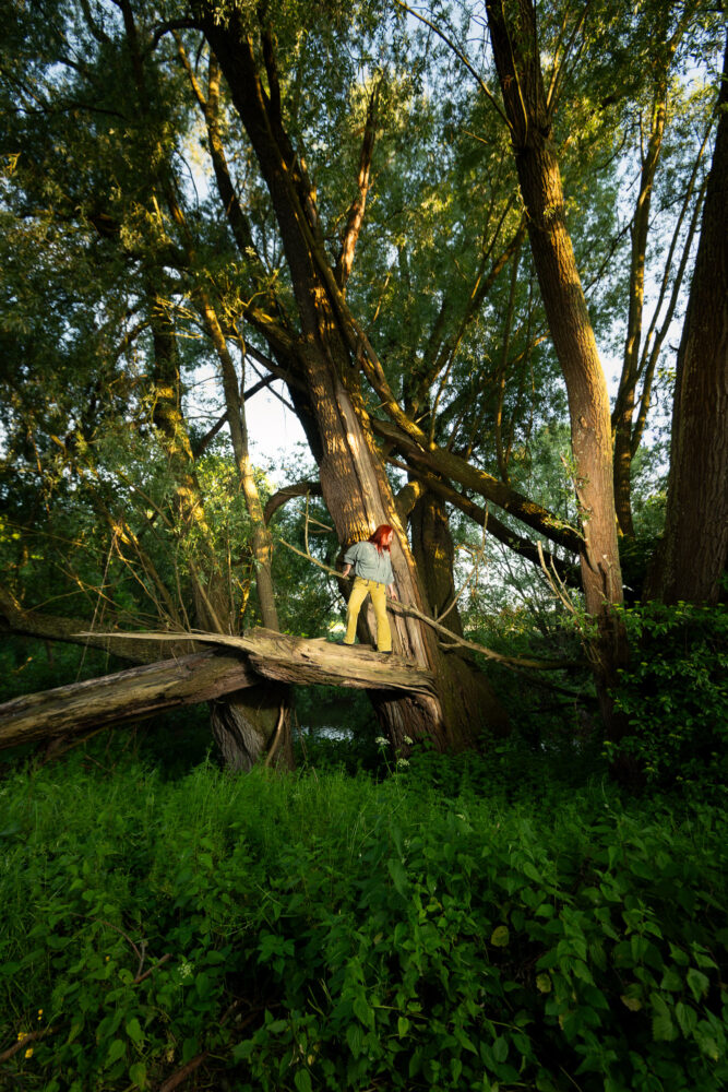 Artist, gardener and deputy mayor of Telgte Tatjana Scharfe standing in a broken willow tree by the river Ems near Telgte, 