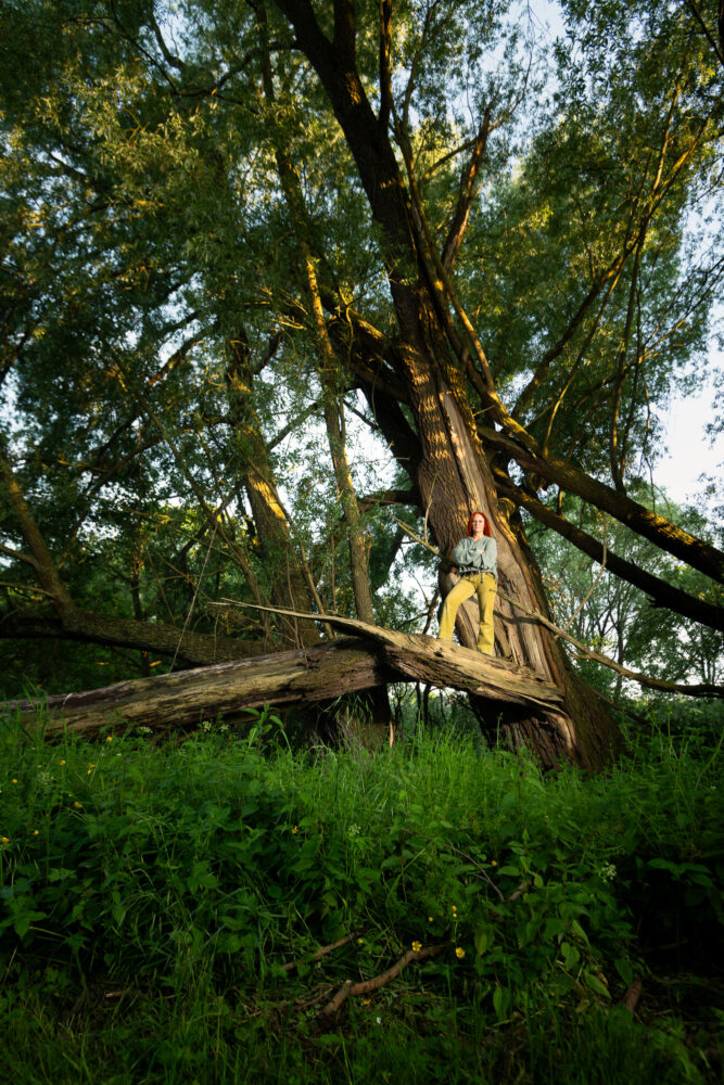 Artist, gardener and deputy mayor of Telgte Tatjana Scharfe in a broken willow tree by the river Ems near Telgte, Germany